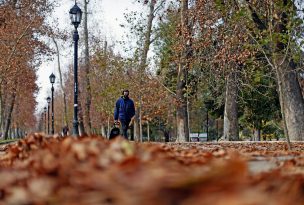 Adiós al verano: El otoño hizo su llegada a Chile la madrugada de este sábado