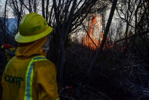 Acusado de provocar incendio forestal en Curacaví quedó con firma mensual y arraigo nacional