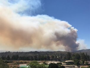 Gobierno reporta un 65% menos de superficie afectada por incendios forestales