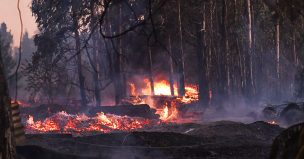 Mantienen Alerta Roja para la comuna de Natales por incendio forestal