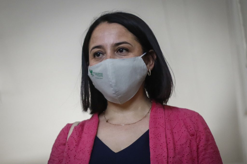 Directora del INE y Censo Nacional Agropecuario y Forestal: “Nos permite recoger información y difundir datos sobre la estructura del sector”