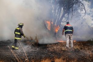 Alerta Roja para la comuna de Valparaíso por incendio forestal