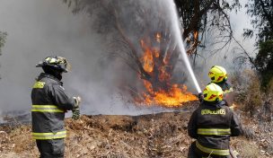 Alerta Roja para comunas de Valparaíso y Casablanca por incendio forestal