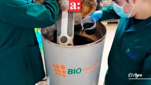 Chilenos inventan tecnología agrícola que beneficia el ahorro del 50% en consumo hídrico