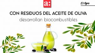 Con residuos de la industria del aceite de oliva desarrollan biocombustibles sólidos y carbones descontaminantes