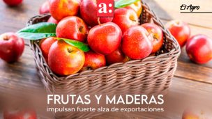 Frutas y maderas impulsan fuerte alza de exportaciones