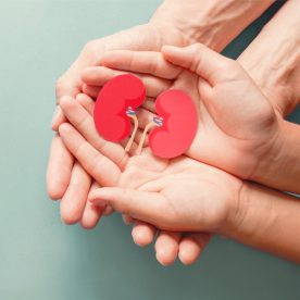 Las formas en las que se puede reducir el riesgo de poseer una enfermedad renal crónica