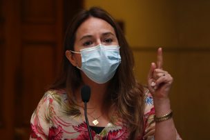 Diputada Joanna Pérez oficia a ministro del Interior por “insostenibles problemas de seguridad en Tirúa y zona sur”