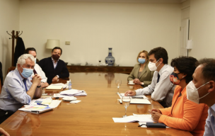 Ministro de Salud participó en mesa de Trabajo del Congreso sobre la pandemia: se abordó el proceso de vacunación y la posibilidad de volver a postergar las elecciones