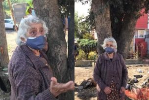 FOTOS | Adulta mayor se aferra a un árbol alcornoque de 50 años en Talcahuano para impedir su tala