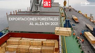 Exportaciones forestales inician el 2021 al alza