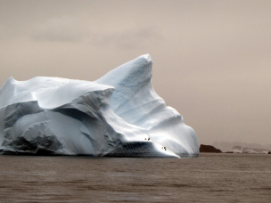 Chile será sede del encuentro más grande de ciencia antártica