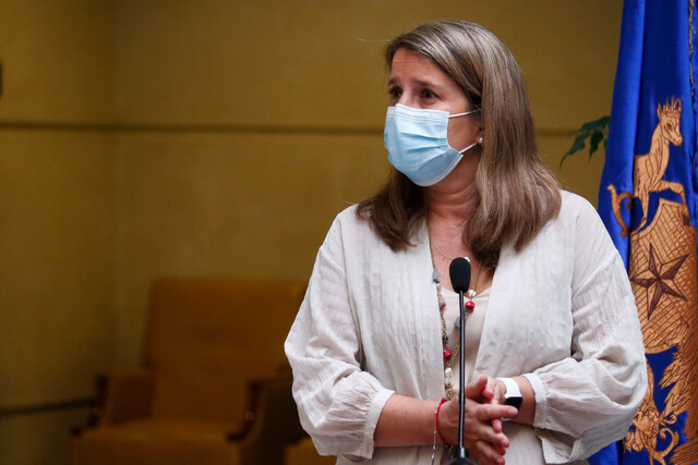 Diputada Luck e indulto a presos del estallido: “Es romantizar el vandalismo”