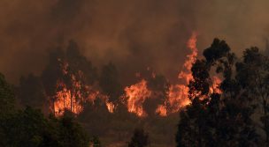 ONEMI declaró Alerta Roja para la comuna de Valparaíso por incendio forestal