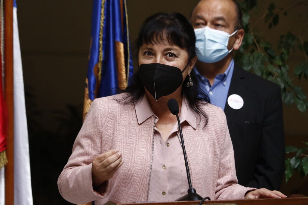 Diputada Marzán llama al Gobierno a no trabar el proyecto de Ley de Autismo