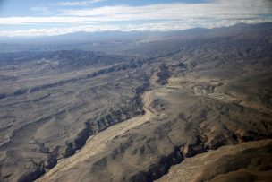 Consejo Regional aprobó más de 400 millones para reforestar Pampa de Tamarugal