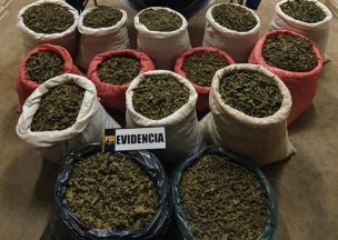 PDI incauta 144 kilos de cannabis sativa en Los Vilos