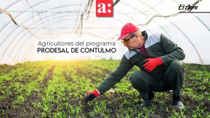 Director Regional de Indap destacó la capacidad de emprender de los agricultores del programa Prodesal de Contulmo