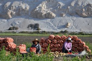 Minagri invita a mujeres agricultoras a postular en concurso nacional de riego