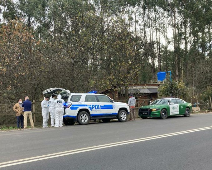 Investigan homicidio: Anciana de 84 años que vivía en completo abandono junto a 16 perros fue encontrada muerta en su casa