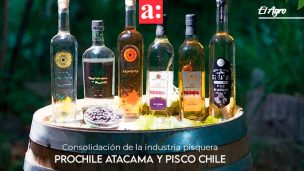 La apuesta de ProChile Atacama y Pisco Chile para la consolidación de la industria pisquera