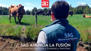 SAG anuncia la fusión de sus divisiones Agrícola y Forestal y Semillas