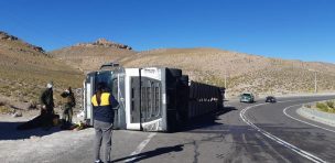 Una guagua y otras tres personas resultan heridas tras volcamiento de camión en ruta desde Iquique a Bolivia