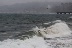 Marejadas: Fuertes olas han llegado hasta el nivel de la calle en Valparaíso