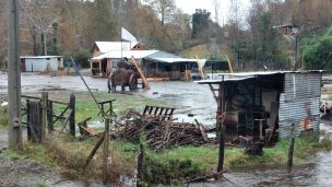 Autoridades evalúa situación en Los Ríos por emergencia climática