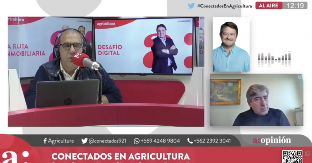 “Checho” Hirane sobre Karina Oliva: “Viene diciendo estupideces hacer harto rato”