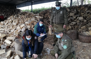 Tras alertas y preemergencia ambiental: Autoridades desplegadas fiscalizan centros de acopio de leña