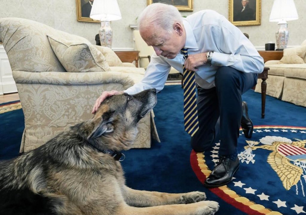 Estados Unidos: Murió ‘Champ’, uno de los perros del presidente Biden