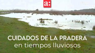 Cuidados de la pradera en tiempos lluviosos