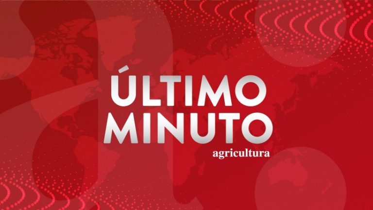 Desborde del río Mapocho obliga a evacuar sector de Talagante: SENAPRED activa SAE