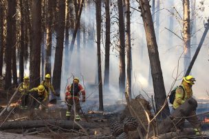 Lluvias de la madrugada ayudaron: Permanecen trabajos por gran incendio forestal en Parque Nacional Patagonia