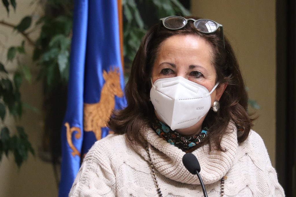 Diputada Sepúlveda: “Es absolutamente impresentable lo que está ocurriendo con el Fondo E”
