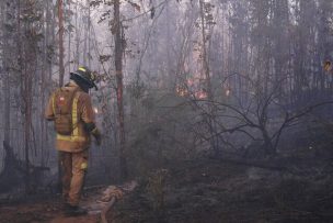 Intendencia de Valparaíso declara Alerta Roja en Isla de Pascua por incendió forestal