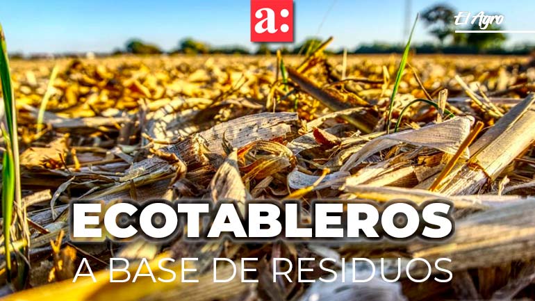 Estudian crear ecotableros a base de residuos del sector vitivinícola y semillero