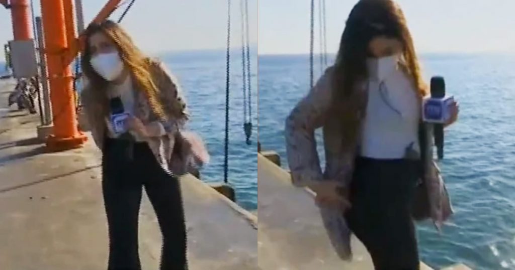 “Quedó la grande”: Periodista de “Mucho Gusto” sufrió fail en vivo debido a un pelícano en Valparaíso
