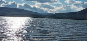 Piden ampliar Santuario de la Naturaleza del humedal de la Laguna de Batuco