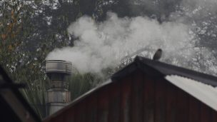 Autoridades fiscalizan el uso de calefactores a leña en Melipilla