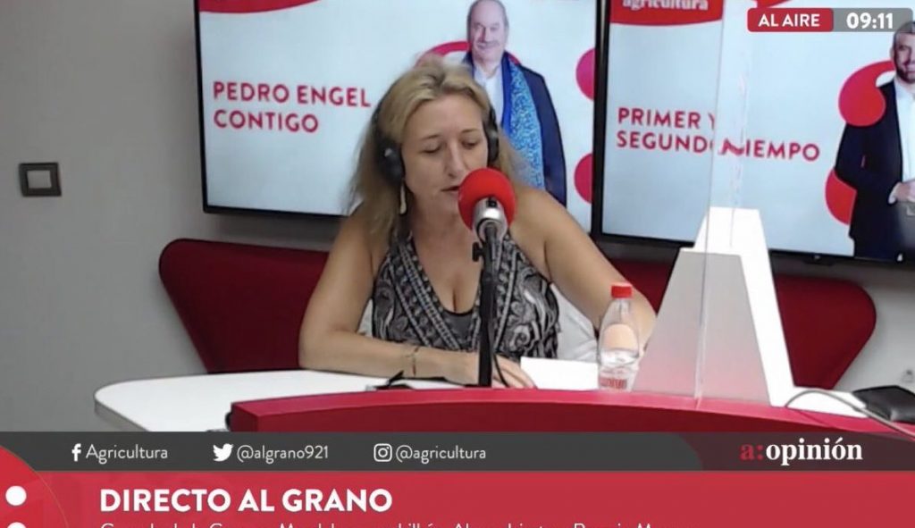 Rosario Moreno y aumento de asignaciones en la Convención: “La izquierda está trabajando en contra del pueblo”