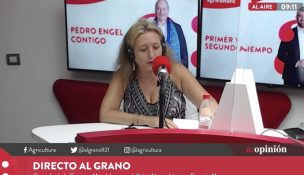 Rosario Moreno sobre extender plazo de redacción de la Nueva Constitución: 