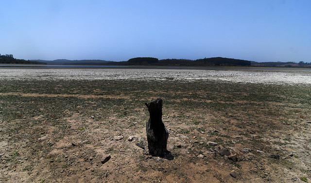 Gobierno decreta emergencia agrícola en regiones de Coquimbo, Valparaíso, O’Higgins y Maule