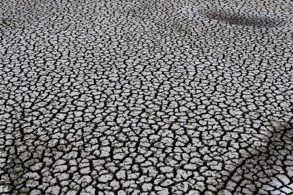 Informe del IPCC responsabiliza al ser humano del cambio climático y alerta de efectos irreversibles