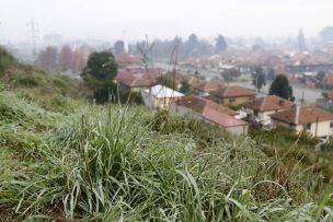 Emiten alerta agrometeorológica por heladas entre las regiones de Coquimbo y Biobío