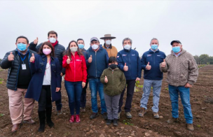 Ministerio de Agricultura evalúa declaración de emergencia agrícola en toda la Región del Maule