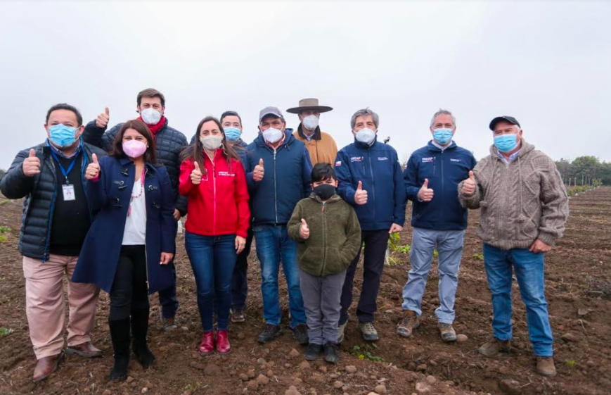 Ministerio de Agricultura evalúa declaración de emergencia agrícola en toda la Región del Maule