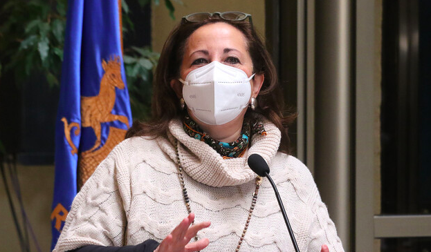 DIputada Sepúlveda por rechazo a proyecto de rentas vitalicias: “Lamentamos lo que está ocurriendo”
