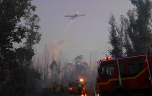 Incendios forestales: Gobierno reportó un 65% menos de superficie afectada